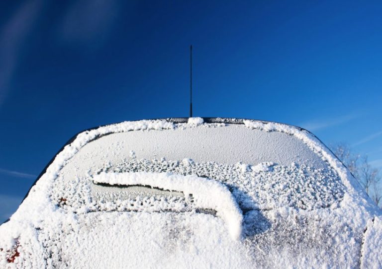 back window repair